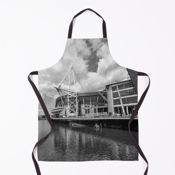 Item preview, Principality Stadium, Cardiff, Wales Monochrome designed and sold by VnGphoto.
