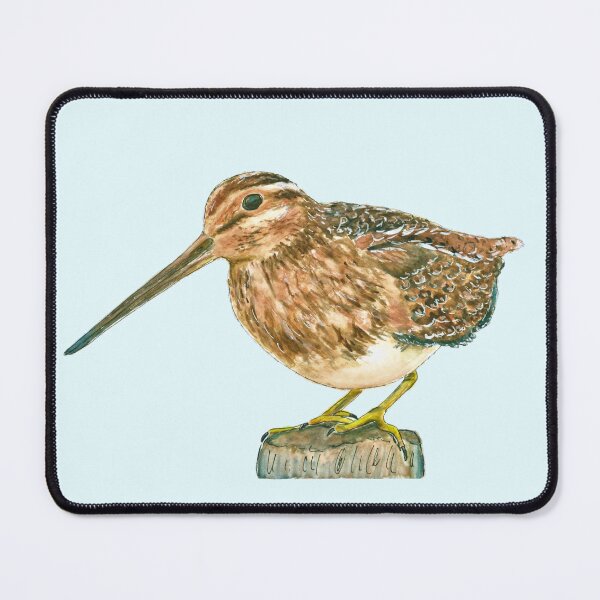 Item preview, Snipe (watercolour) designed and sold by Sarah Addy.