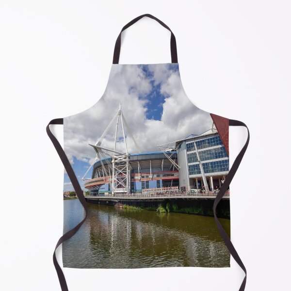 Item preview, Principality Stadium, Cardiff, Wales designed and sold by VnGphoto.