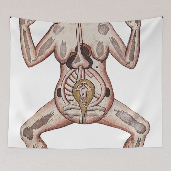 Item preview, Medieval Woman Anatomy Sketch designed and sold by Demonik-Art.