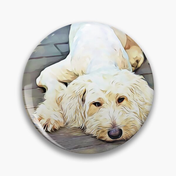 Aperçu de l'œuvre Boule de libellule Golden Doodle créée et vendue par newhuman.