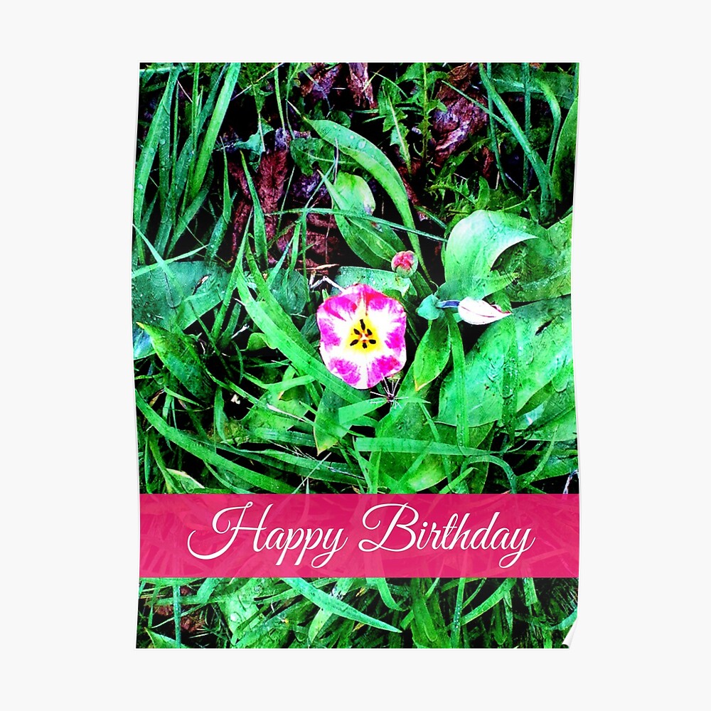 Carte De Vœux Joyeux Anniversaire Fleur De Tulipe Par Evepenman Redbubble