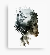 Skull - metamorphosis Canvas Print