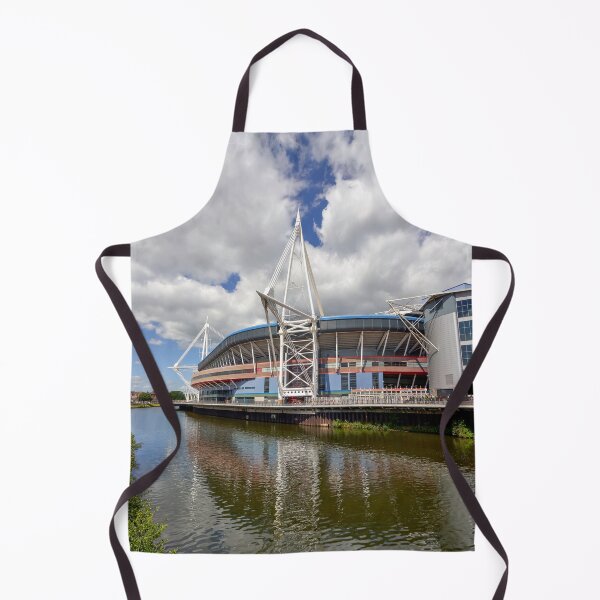 Item preview, Principality Stadium, Cardiff, Wales designed and sold by VnGphoto.