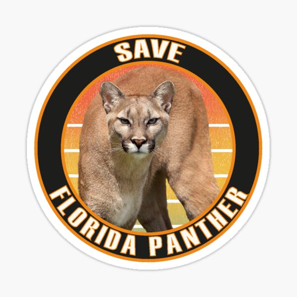 "Happy Save The Florida Panther Day!" Sticker By Ibrahimstory | Redbubble