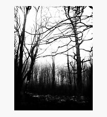 Desolate Photographic Print