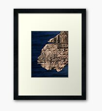Creatures of the Punakaiki. Framed Print