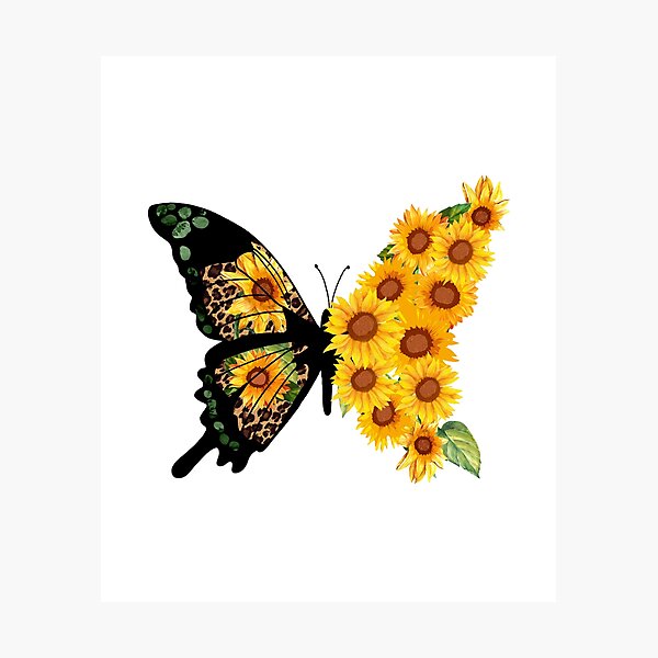 Lámina fotográfica «Mariposa Girasol» de Ibn-El-Wadi | Redbubble