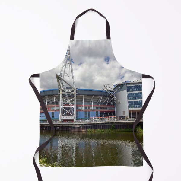 Item preview, Principality Stadium, Cardiff, Wales designed and sold by VnGphoto.