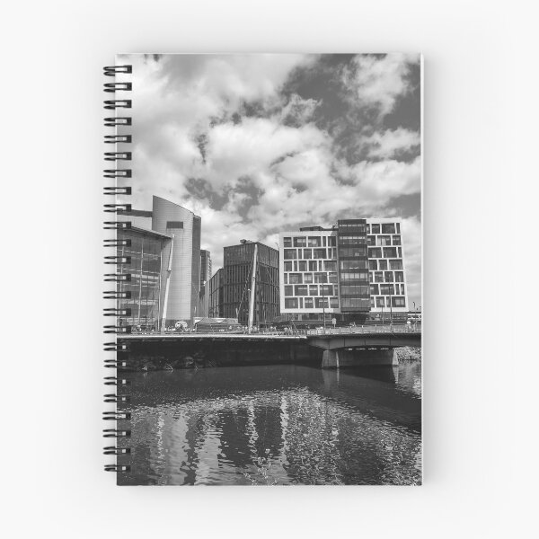 Item preview, Principality Stadium, Cardiff, Wales Monochrome designed and sold by VnGphoto.