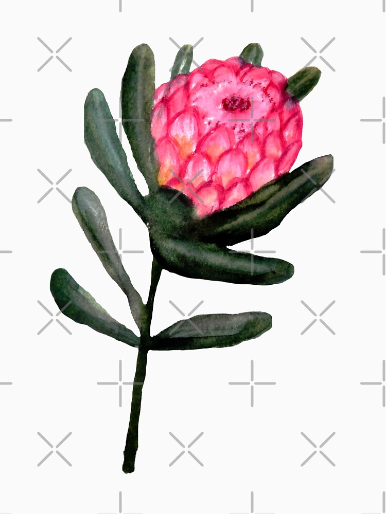 Protea watercolor floral by MagentaRose