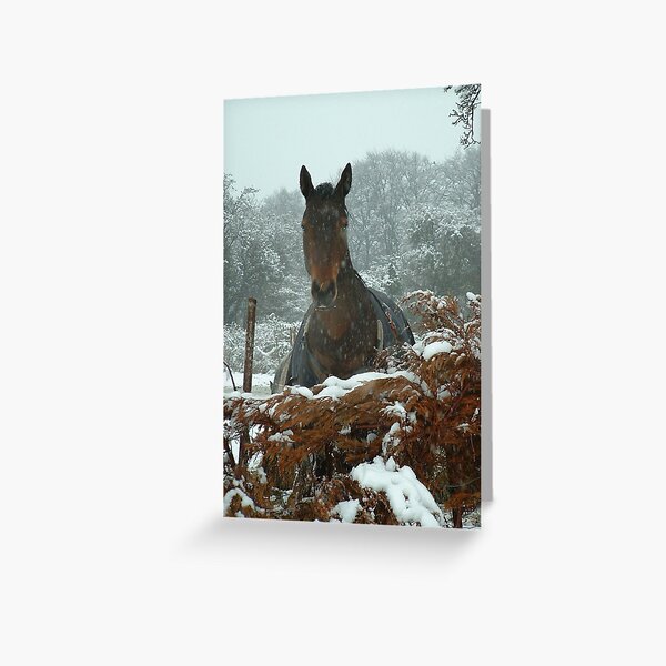 Chestnut Greeting Card