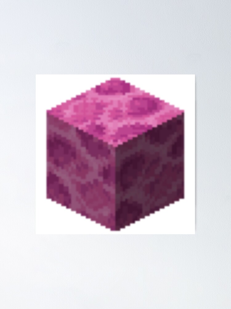 "Brain coral block" Poster for Sale by minedesign05 Redbubble