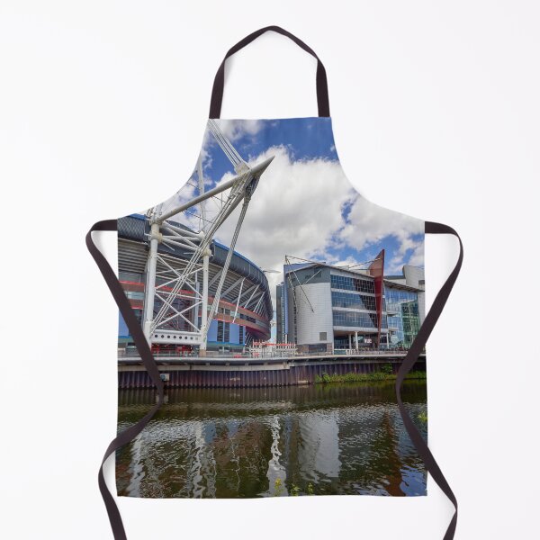 Item preview, Principality Stadium, Cardiff, Wales designed and sold by VnGphoto.