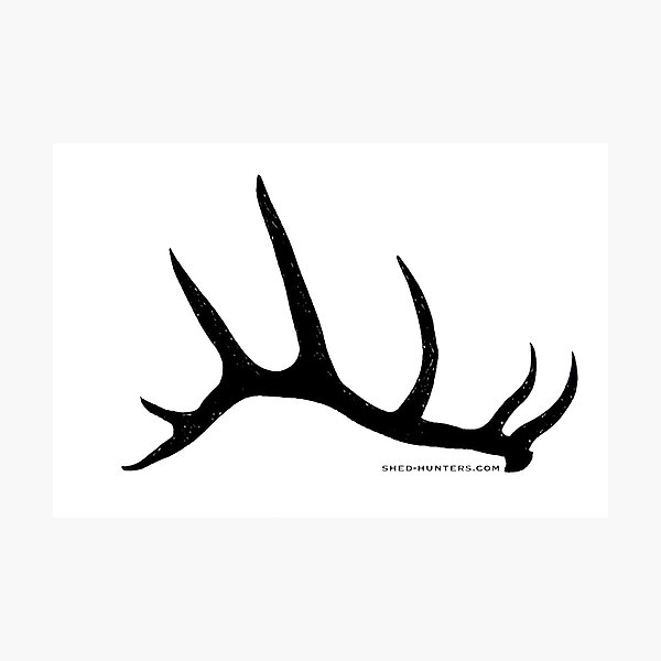 Item preview, Elk Antler Shed Hunters designed and sold by ShedHunters.