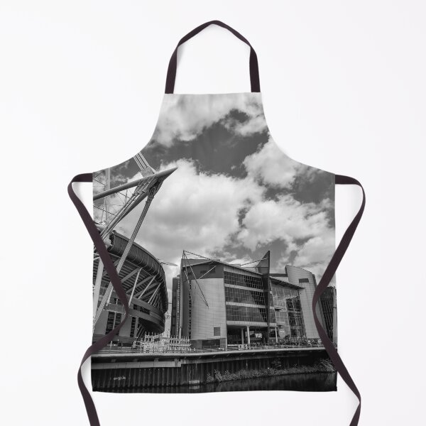 Item preview, Principality Stadium, Cardiff, Wales Monochrome designed and sold by VnGphoto.