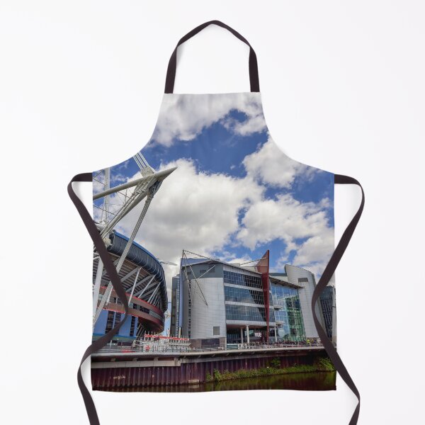 Item preview, Principality Stadium, Cardiff, Wales designed and sold by VnGphoto.