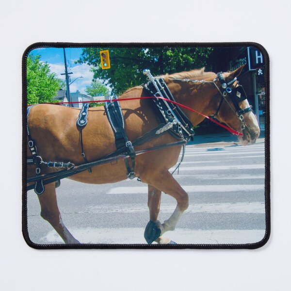Item preview, City Horse designed and sold by Shulie1.