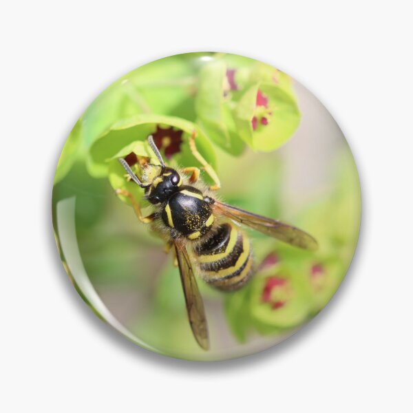 Item preview, Common wasp on euphorbia designed and sold by GreyFeatherPhot.
