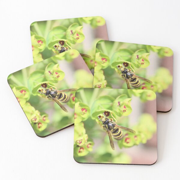 Item preview, Common wasp on euphorbia designed and sold by GreyFeatherPhot.