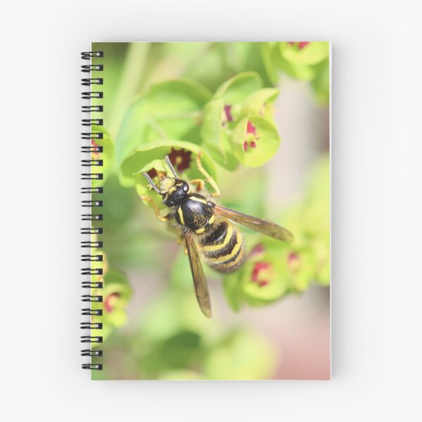 Item preview, Common wasp on euphorbia designed and sold by GreyFeatherPhot.