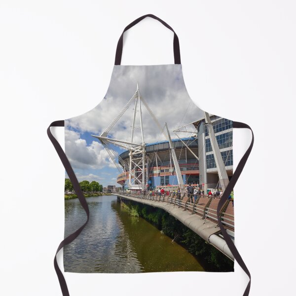 Item preview, Principality Stadium, Cardiff, Wales designed and sold by VnGphoto.