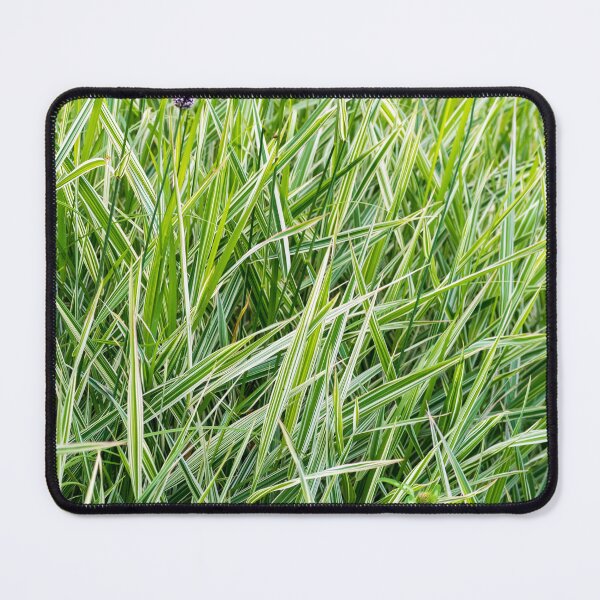 Item preview, Green Grass Pattern designed and sold by AlinaSCorner.