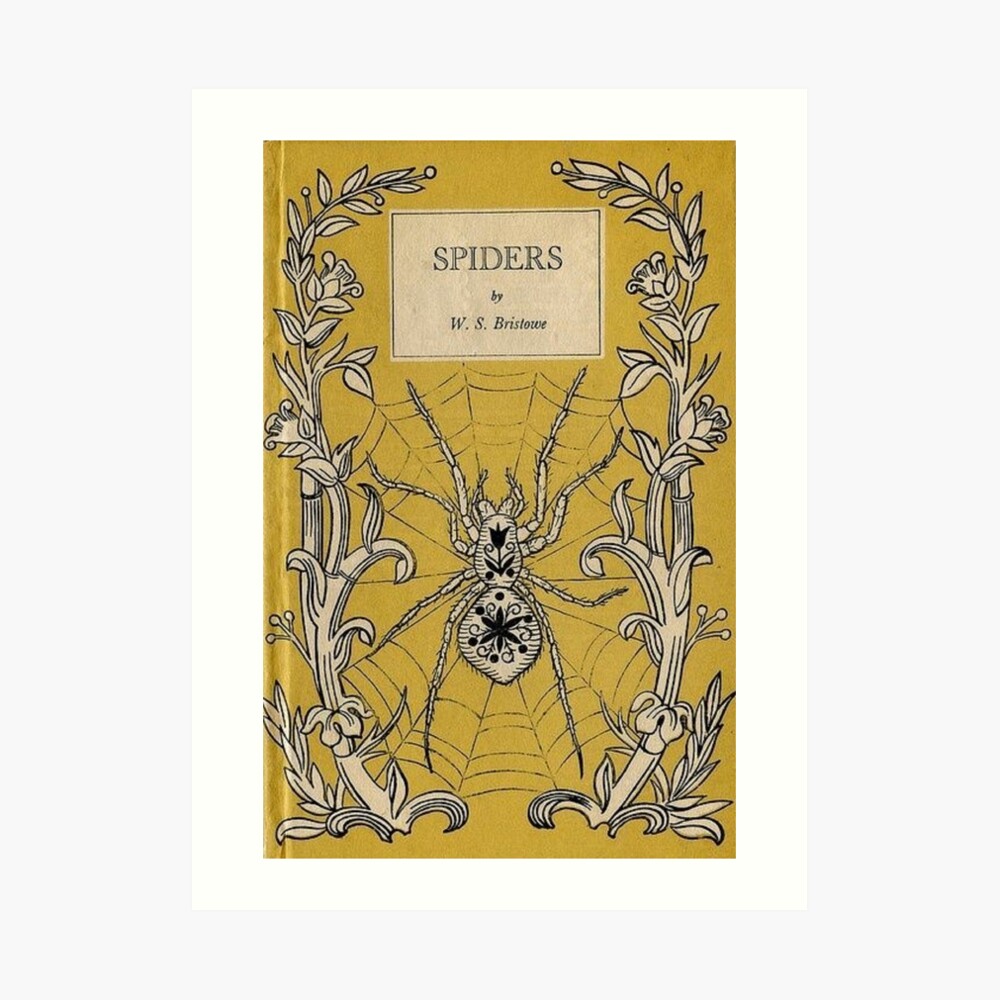 洋書絵本】The Spider's Web/チャールズ・キーピング/クモの糸