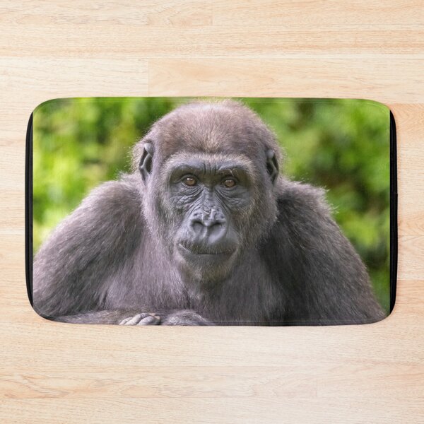 Item preview, Moke the Gorilla at the National Zoo designed and sold by Zoo and Nature Photography by Karie.