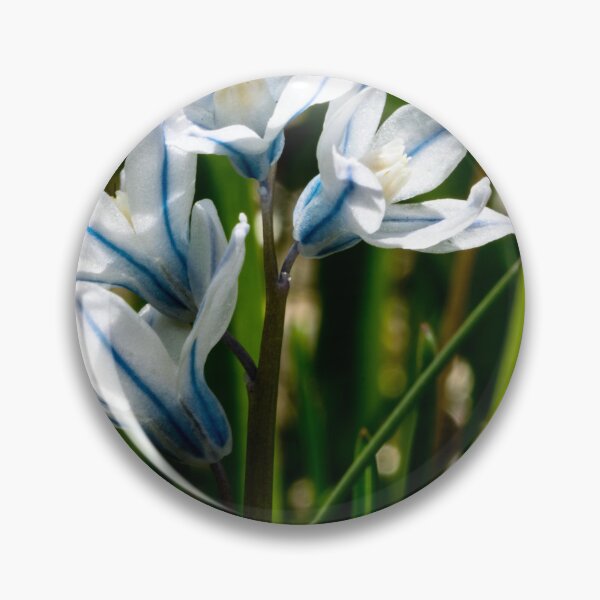 Item preview, Snowdrop flowers designed and sold by CanadianWild418.