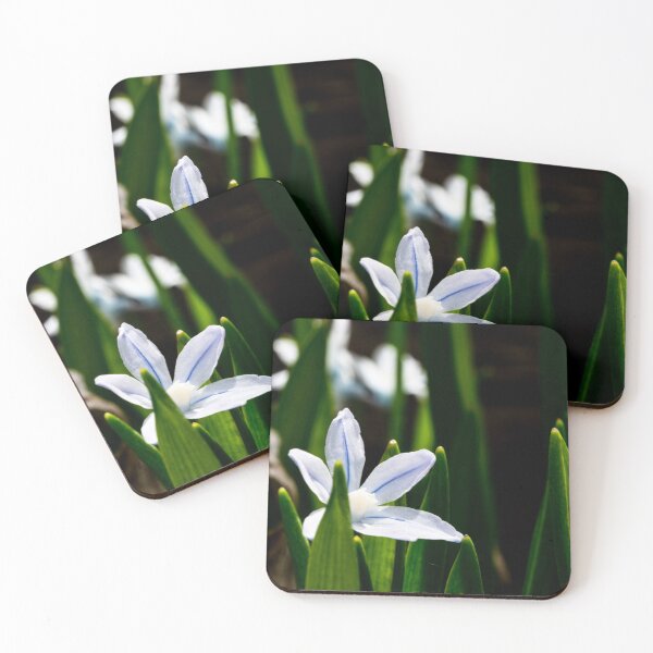 Item preview, Snowdrops in bloom designed and sold by CanadianWild418.