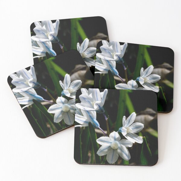 Item preview, Flowering snowdrops designed and sold by CanadianWild418.