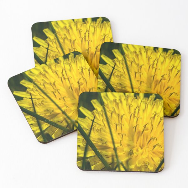 Item preview, Dandy designed and sold by CanadianWild418.