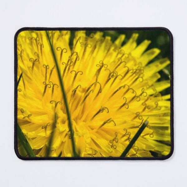 Item preview, Dandelion designed and sold by CanadianWild418.