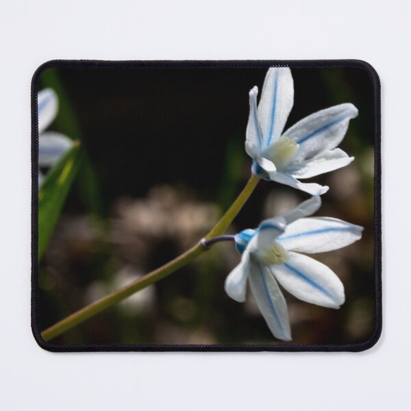 Item preview, Snowdrop spring bloom designed and sold by CanadianWild418.