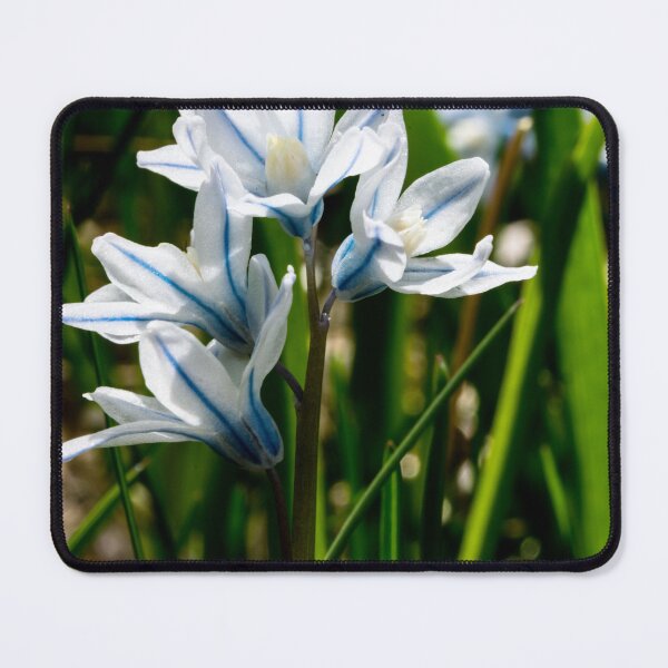 Item preview, Snowdrop flowers designed and sold by CanadianWild418.