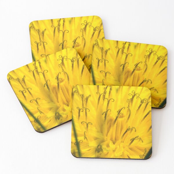 Item preview, Macro picture of a dandelion designed and sold by CanadianWild418.