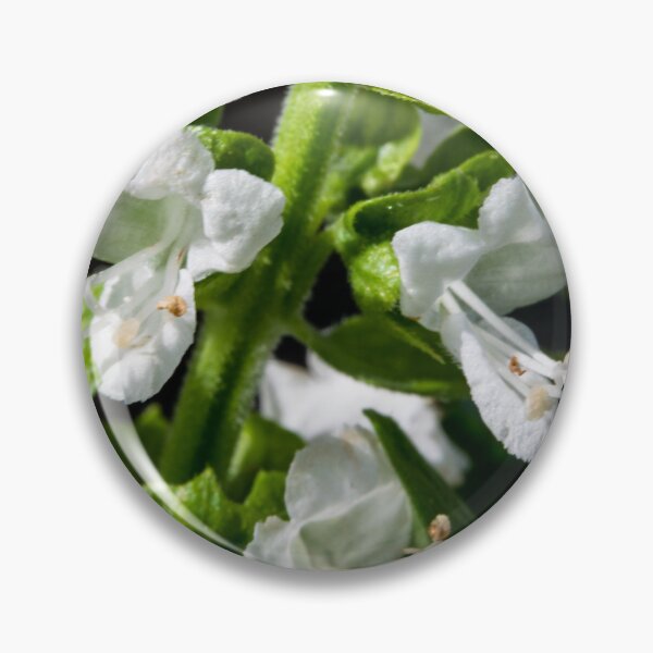 Item preview, Basil in bloom designed and sold by CanadianWild418.