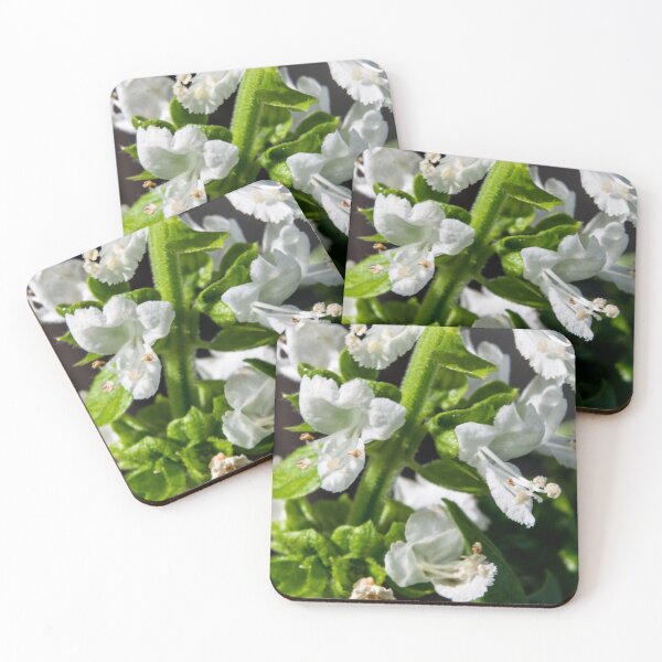 Item preview, Basil in bloom designed and sold by CanadianWild418.
