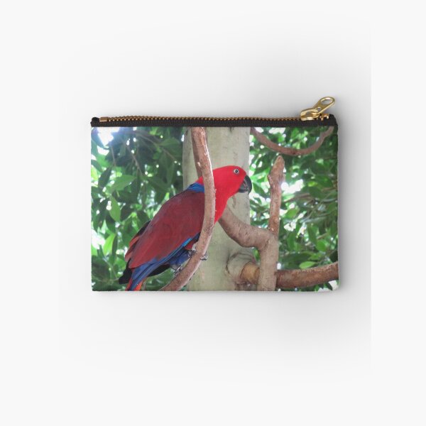 Item preview, Female eclectus parrot designed and sold by greentiger1.