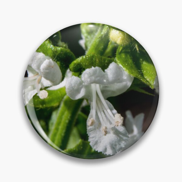 Item preview, Basil flowering designed and sold by CanadianWild418.