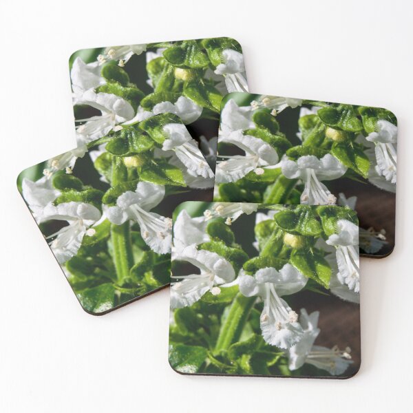 Item preview, Basil flowering designed and sold by CanadianWild418.