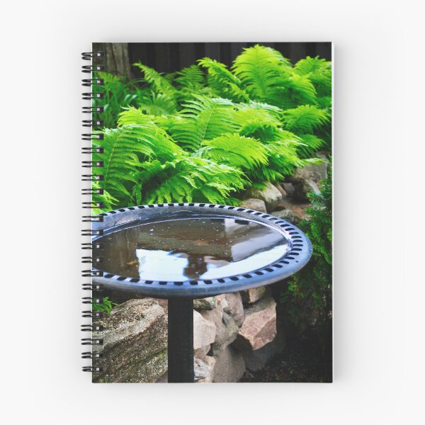 Item preview, BIRD-BATH designed and sold by bgoddard.