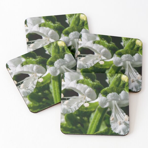 Item preview, Basil in macro designed and sold by CanadianWild418.