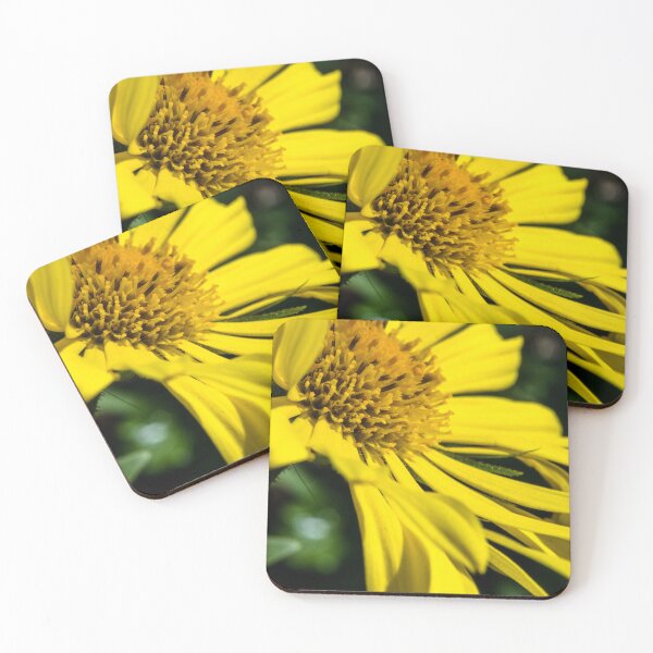 Item preview, Broken petals designed and sold by CanadianWild418.