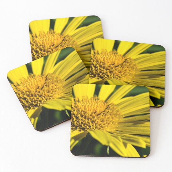 Item preview, Spring in bloom. designed and sold by CanadianWild418.