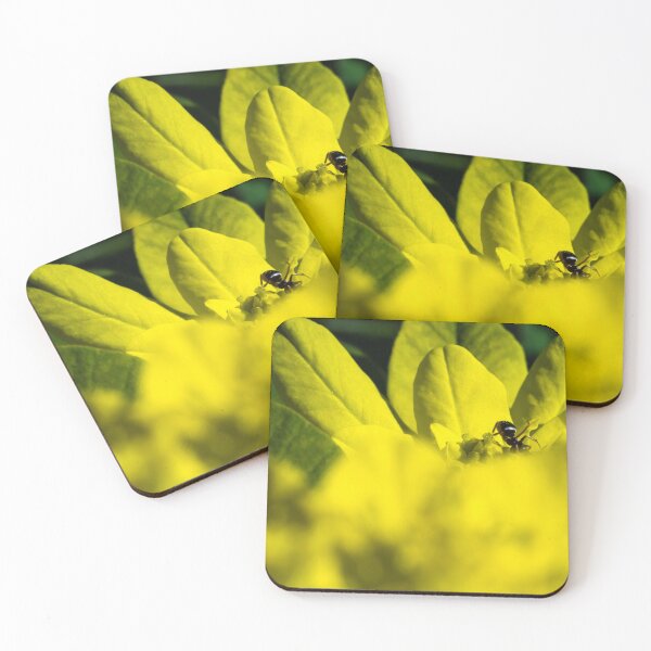 Item preview, Ant hiding on flower in macro designed and sold by CanadianWild418.