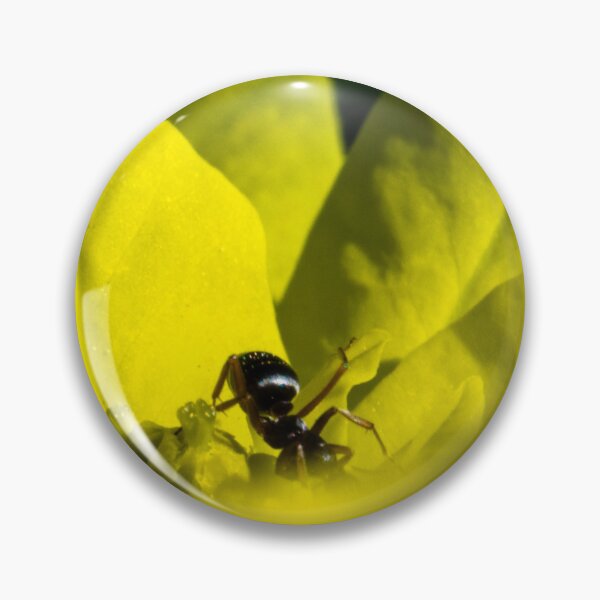 Item preview, Ant exploring a flower designed and sold by CanadianWild418.