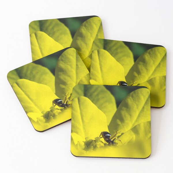 Item preview, Ant exploring a flower designed and sold by CanadianWild418.