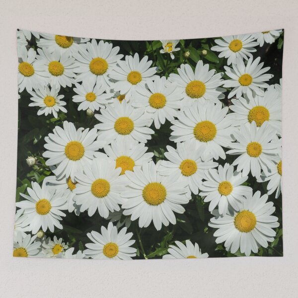 Item preview, Dainty Daisies designed and sold by Georgia Mizuleva.